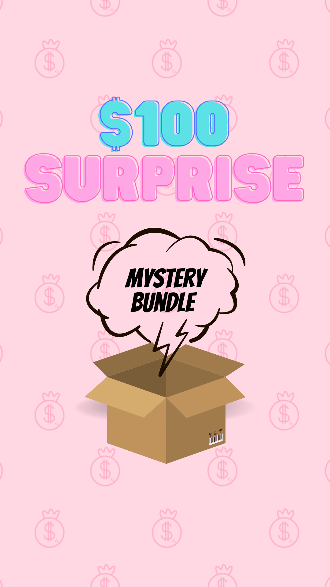 $100 Surprise Mystery Box
