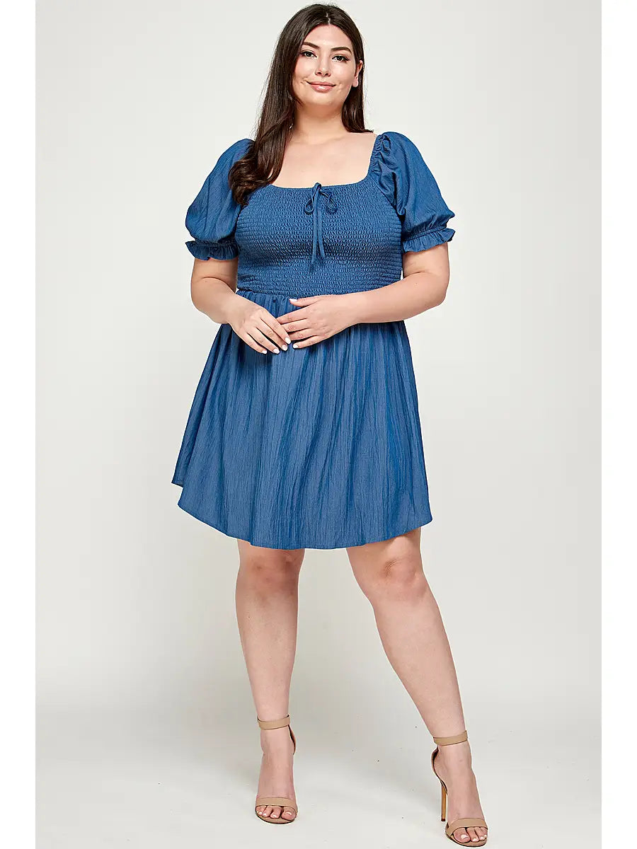 Plus Size Waverly Smocked Denim Dress 1x